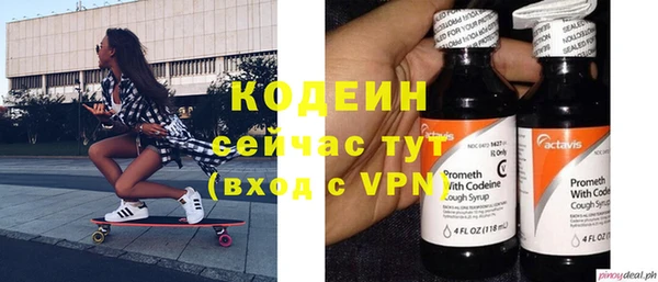 дурь Пересвет